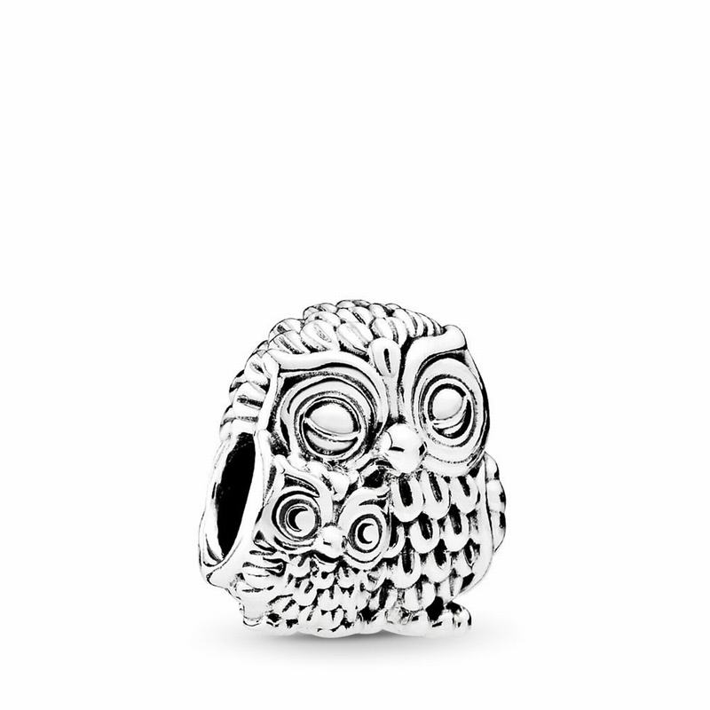 Pandora Charming Owls Charm Ireland - Sterling Silver - 563429YKP